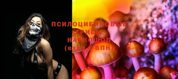 ешки Кукмор