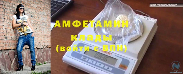 стаф Краснослободск