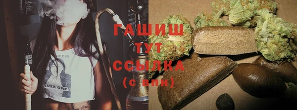 стаф Краснослободск
